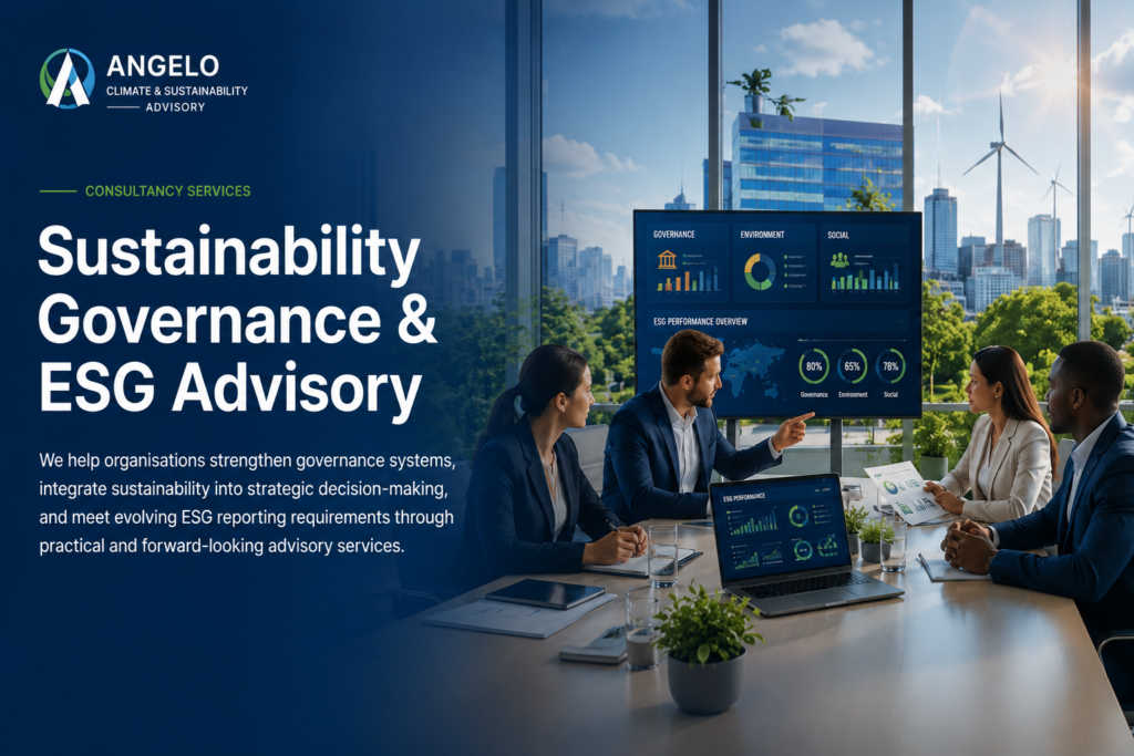 sustainability governance and esg advisory