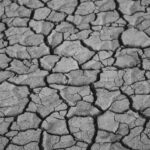 Home cracked ground, mobile wallpaper, lock screen wallpaper, ipad wallpaper, arid landscape, drought, beautiful wallpaper, samsung wallpaper, mobile wallpaper 4k, background, texture, structure, phone wallpaper, wallpaper, black and white, iphone wallpaper, climate, climate change