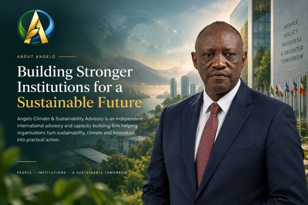building stronger institutions, sustainably